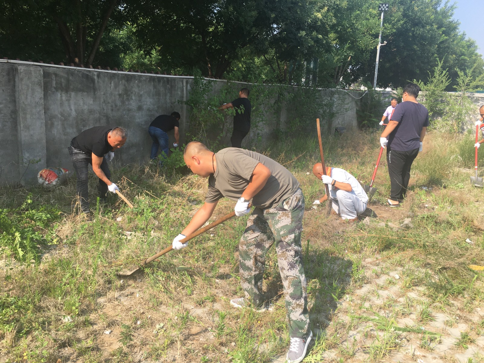 49037577.jpg 49037577.jpg